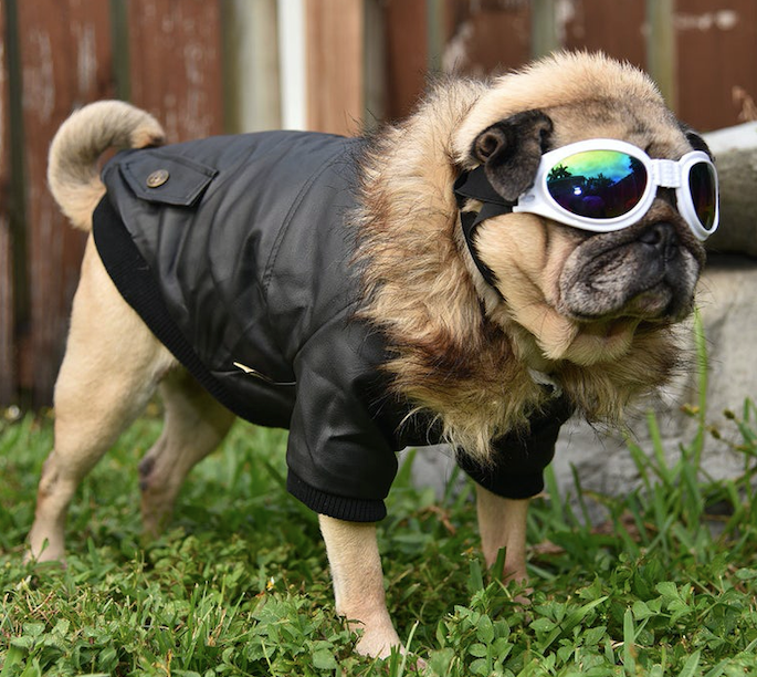 Winter Jacket With Fur Fleece Lining